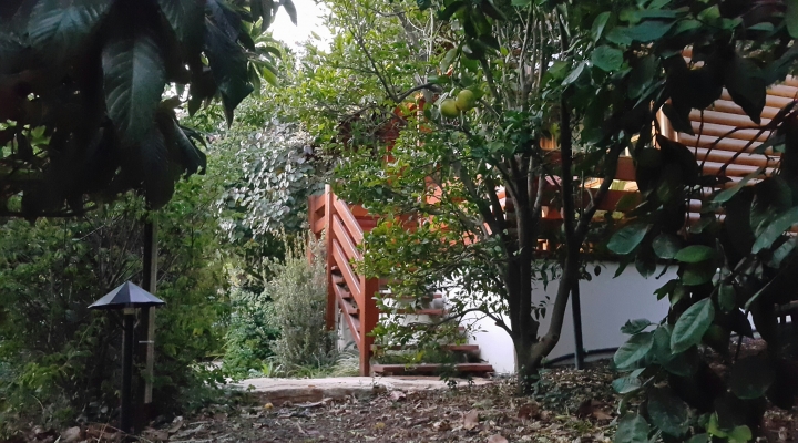 צימרים באמירים לזוגות תות