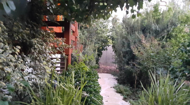 צימרים לזוגות באמירים בקתת תות