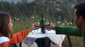 הטיול הרומנטי יין מול הנוף