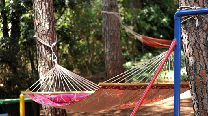 ערסל בין האורנים ארץ הגליל צימרים באמירים