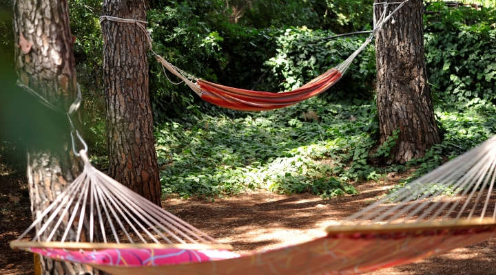 ערסלים בין האורנים.ארץ הגליל צימרים באמירים