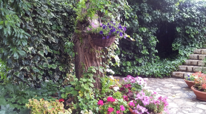 צימרים למשפחות באמירים גינה