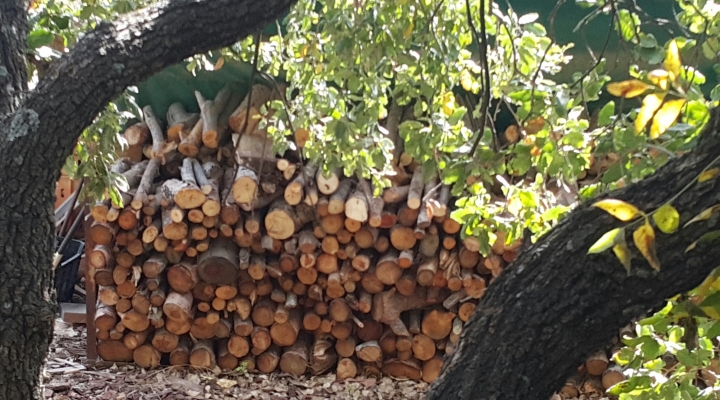 צימרים עם אח עצים ארץ הגליל צימרים באמירים