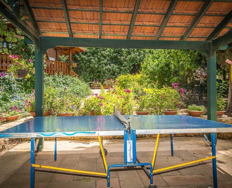 טניס שולחן בארץ הגליל צימרים באמירים
